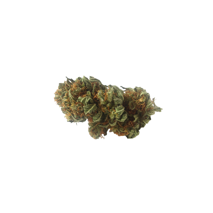 Orange Bud (hybride à dominance indica)