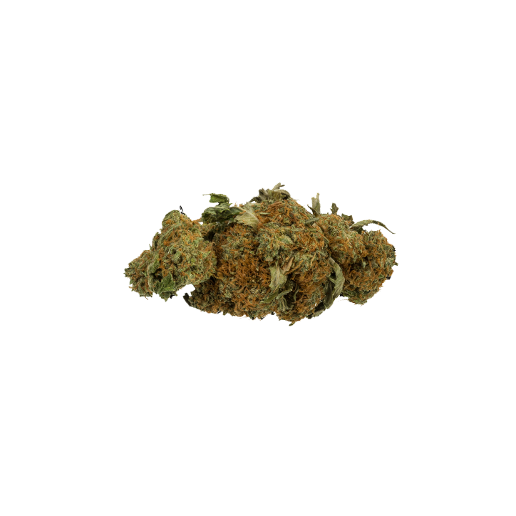 Gelato (hybride à dominance indica)