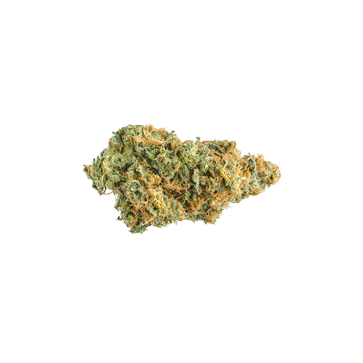 Lemon Skunk (hybride sativa-dominant)