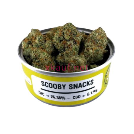 4g d'herbe - Scooby Snacks 26% THC