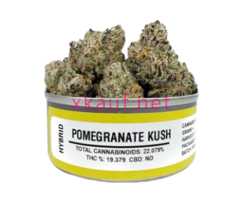 4G Weed - Pomegranate Kush 19.37% THC