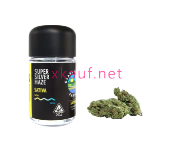 Super Silver Haze - 3,5 g